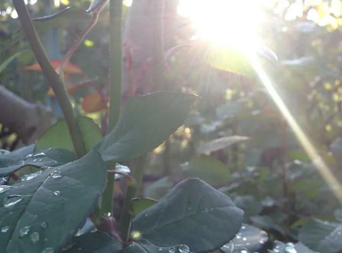 Casa Mala Tatil Evi Zadar