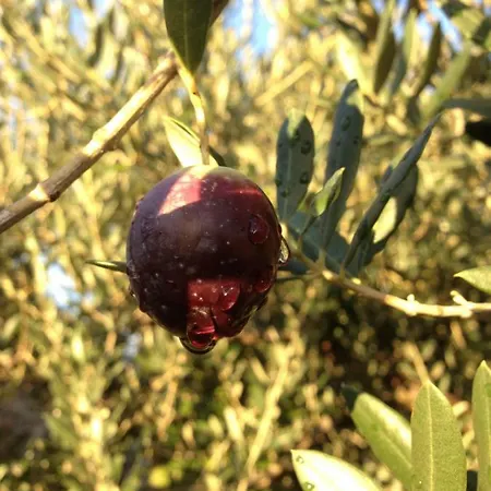 Сasa de vacaciones Casa Mala