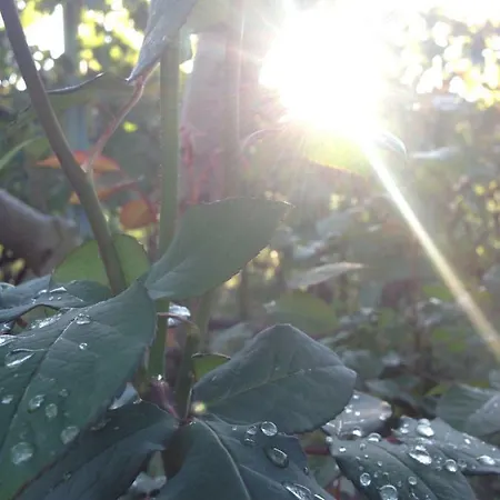 Casa Mala Сasa de vacaciones Zadar